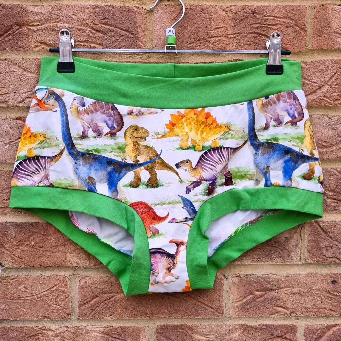 Shorts - Dinosaurs
