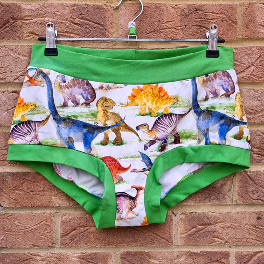 Shorts - Dinosaurs